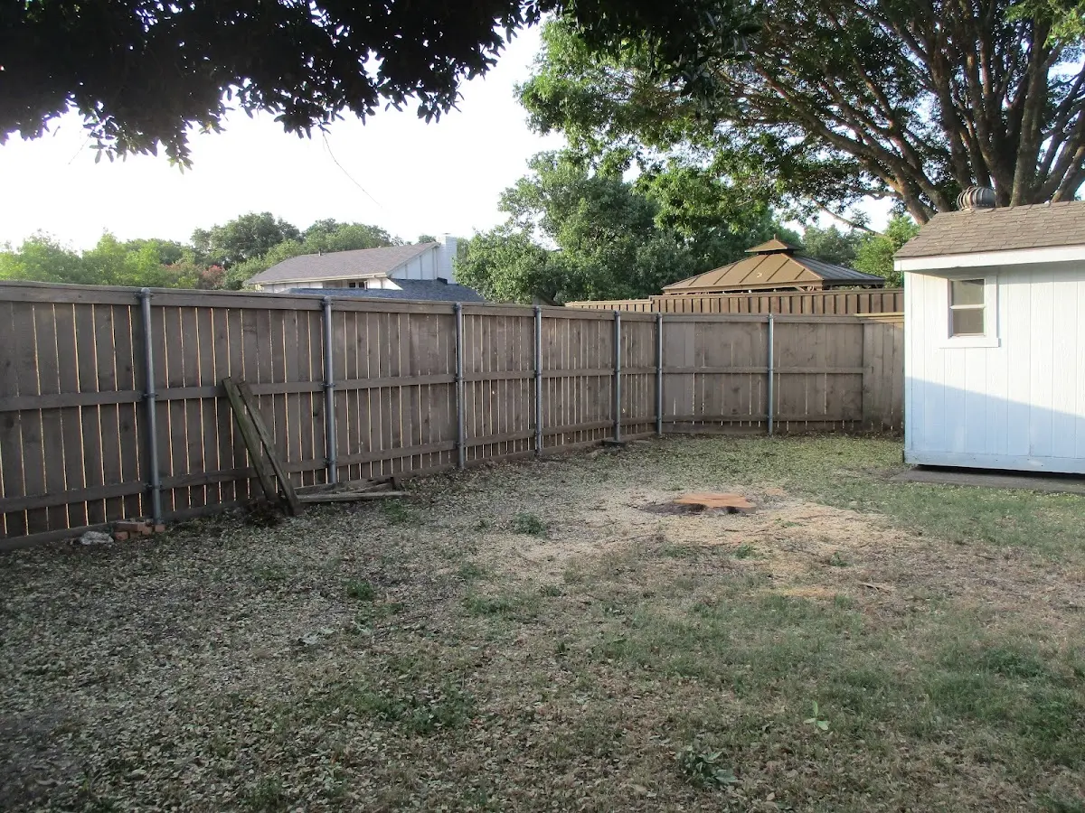 Cleared yard after professional tree removal in Meridian